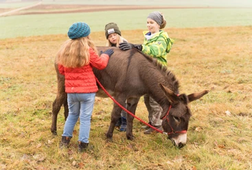 Esel mit Kindern