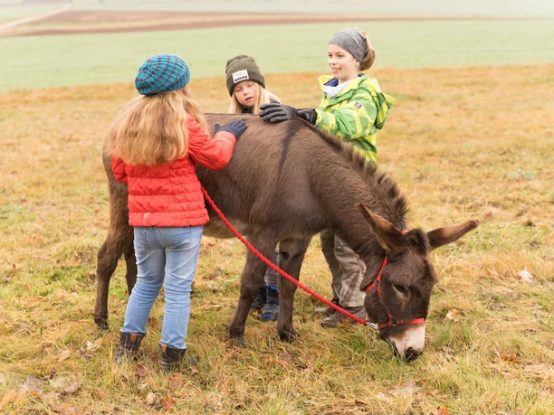 Esel mit Kindern