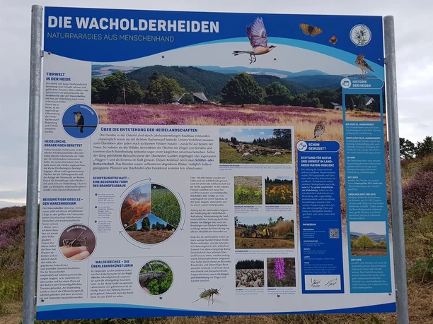 Infotafel Wacholderheiden