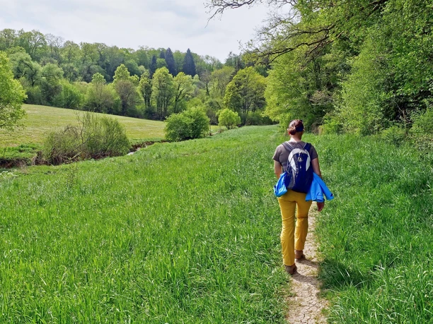 Wanderer (2)