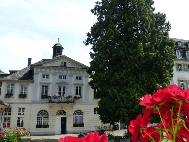 Kurfürstliches Schlößchen Bad Bertrich_Lebensbaum