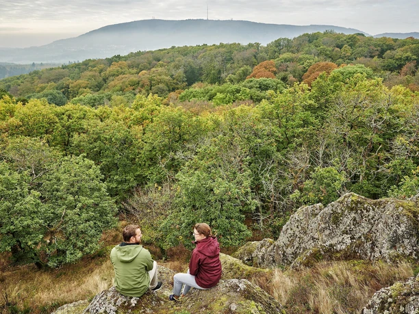 Blick zum Donnersberg vom Drosselfels