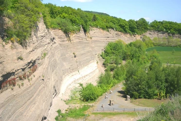 Wingertsbergwand von oben