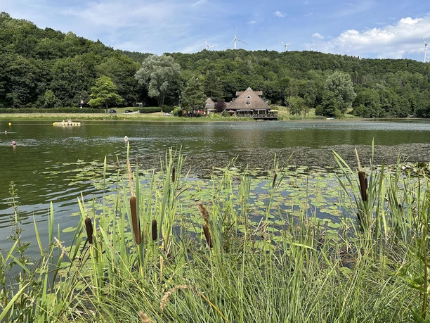 Riedener Waldsee mit Seehütte