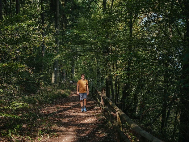 Unterwegs auf dem Traumschleifchen Bardenbacher Fels