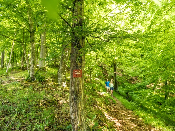 Wandern_Rothaarsteig