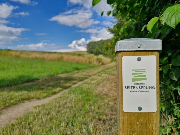 Moselsteig Seitensprung Konzer Höhenrunde (3) Moselsteig Seitensprung Konzer Höhenrunde (3)