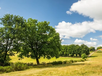 Rursee-Höhenweg Fernsicht Kesternich