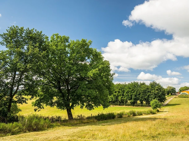 Rursee-Höhenweg Fernsicht Kesternich