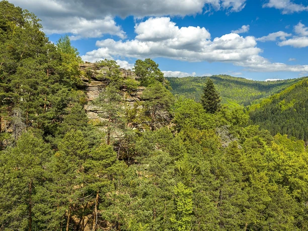 Blick auf den Beutelsberg Blick auf den Beutelsberg
