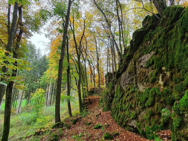 Schönecker Schweiz