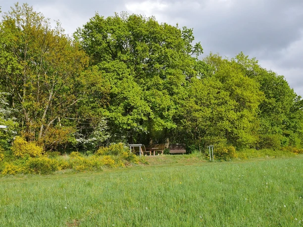 Eifelblick