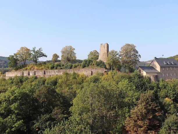 Burgruine Dasburg
