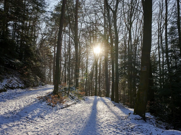 Winterwandern auf dem Richard Löwenherz Weg