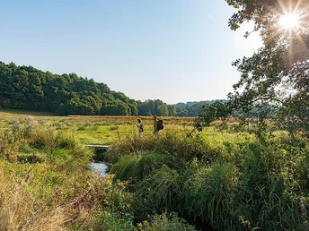 Auf der Traumschleife Georgi-Panoramaweg