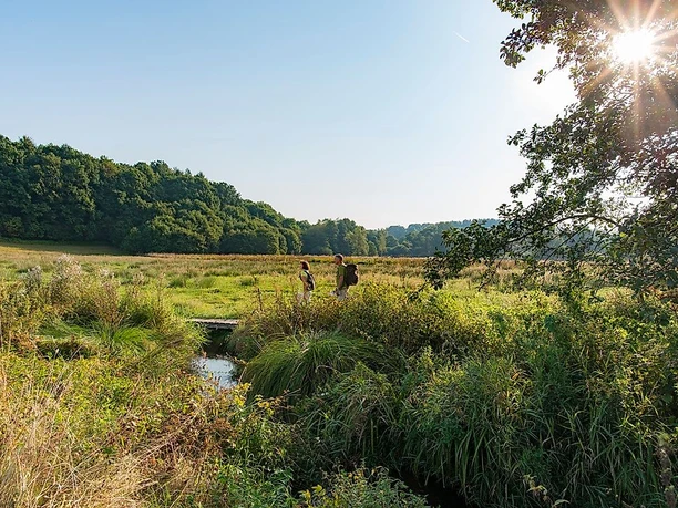 Auf der Traumschleife Georgi-Panoramaweg