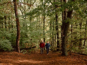 Auf der Orensberg-Tour im Herbst
