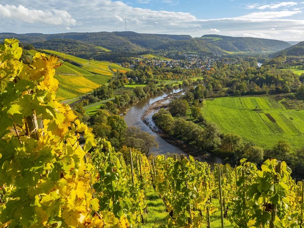 Naturschutzgebiet Wiltinger Saarbogen (3)