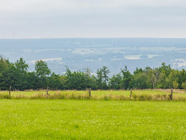 Aussicht vom Eifel-Blick Steling