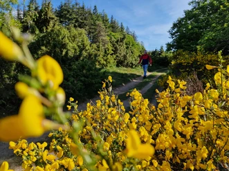 Wandern in Arft
