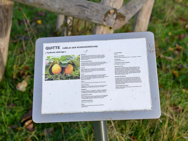 Beschreibungen zu den Obstbäumen