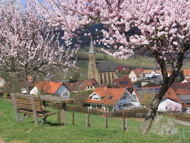 Katholische Kirche mit Mandelblüten Katholische Kirche mit Mandelblüten