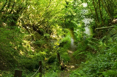 Schweizertal