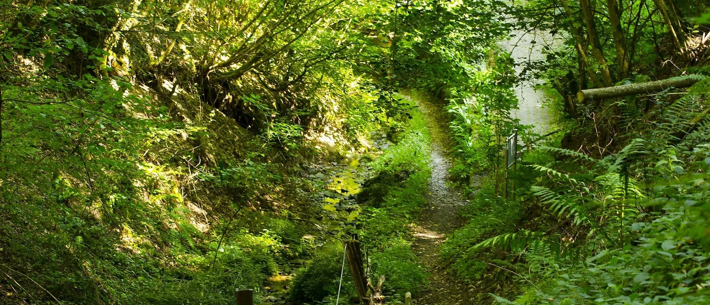 Schweizertal