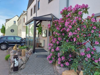 Trattoria Da Mimo (2)