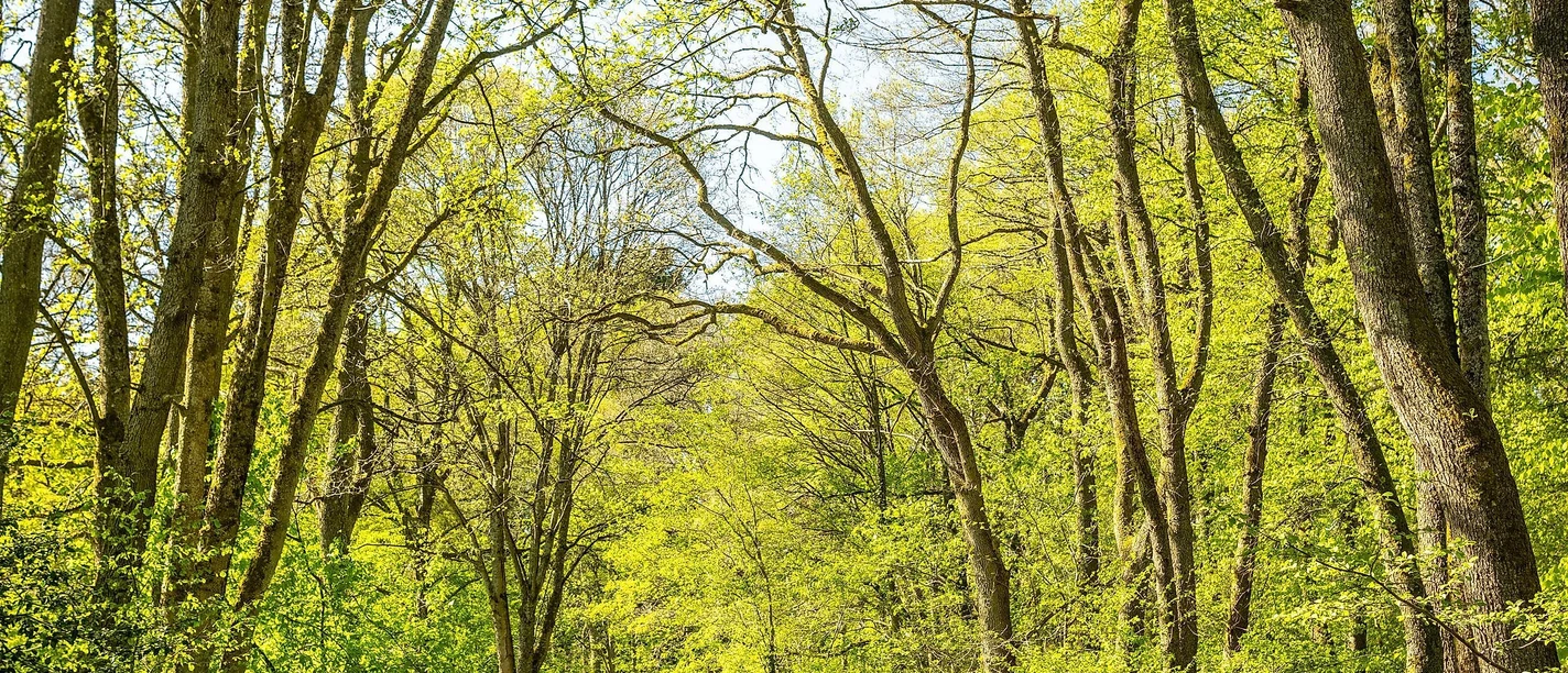Roetgen