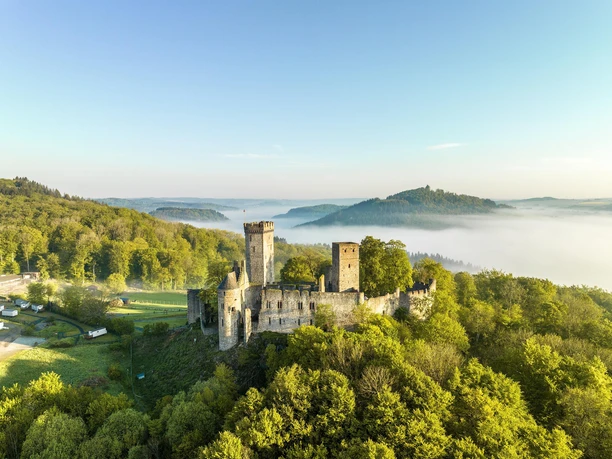 Kasselburg mit Adler und Wolfspark