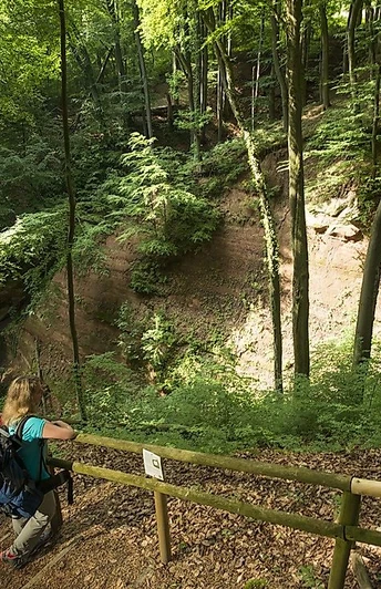 Auf der Traumschleife Schluchtenpfad