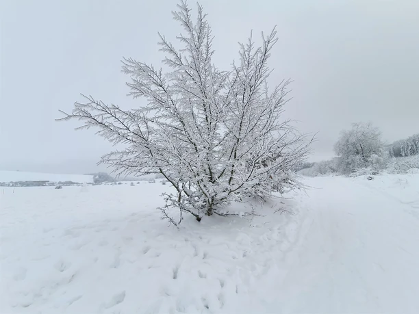 Schnee im GesundLand Vulkaneifel