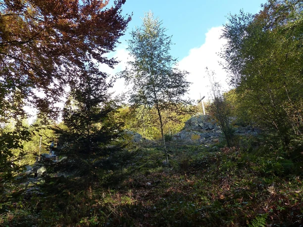 Auf Bergmannspfaden an der Hohen Ley Auf Bergmannspfaden an der Hohen Ley