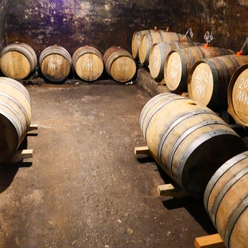 Weingut Rinke GbR (1)