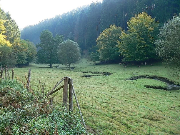 Grenzbachtal Grenzbachtal