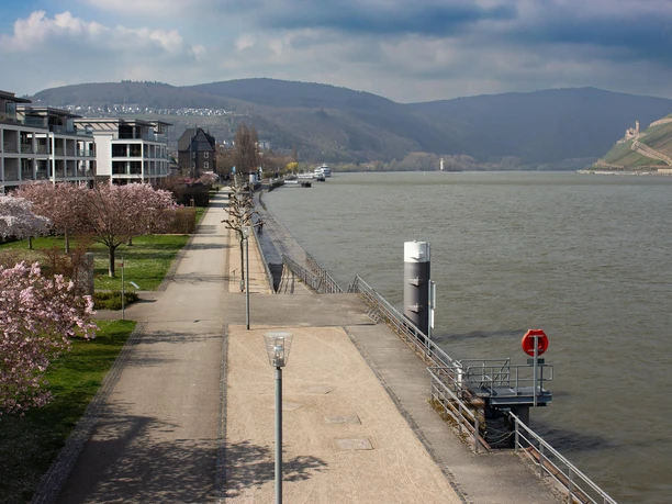 Kulturufer/Blick vom Industriekran