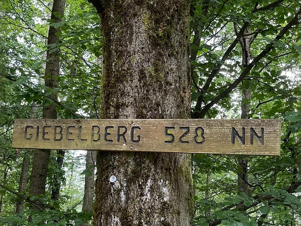 Höchste Erhebung im Giebelwald - der Giebelberg