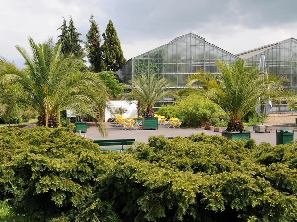 Blick auf die Gewächshauser