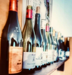 Weingut Schreiberlay
