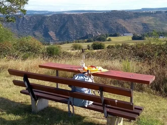 Picknickbank auf der Bitz mit Schönburgblick