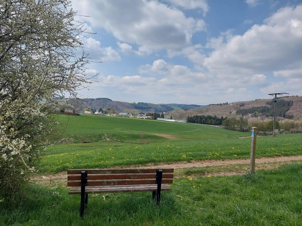 Bank blaue Route Pronsfeld