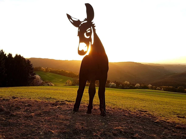 Esel bei Sonnenuntergang