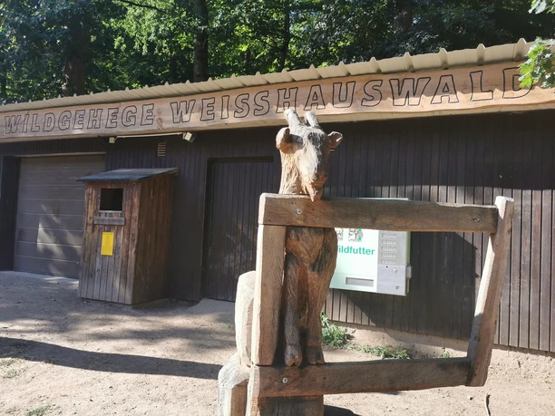 Wildgehege Weißhauswald