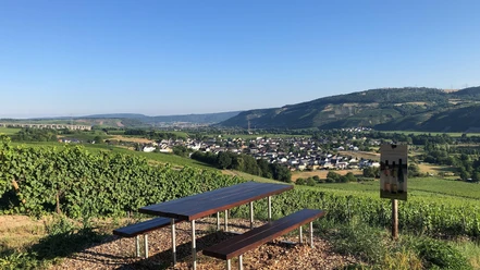 Rast Weinberg