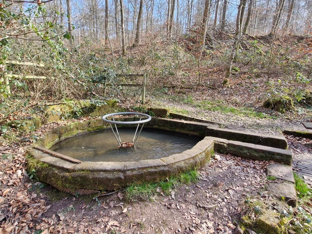 Wassertretbecken am Salzbrünnchen