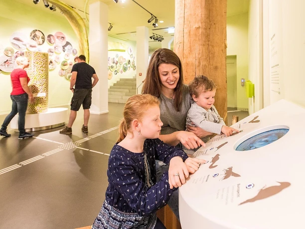 Für Jung und Alt, es viel zu entdecken ..