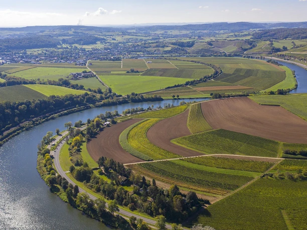 Moselsteife Obermosel