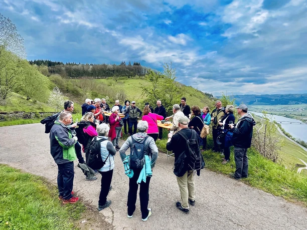 Gruppe im Weinberg
