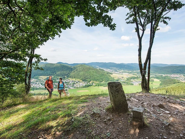 Blick vom Entenberg